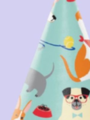 Dog Party Cone Party Hats, Multi-Coloured, One Size, 8-pk, Wearable Accessories for Birthdays