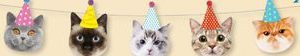 Cat Party Hanging Garland Banner Decoration, Multi-Coloured, 8-ft, for Birthday Party