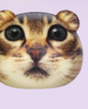 Cat Stress Ball, Brown/Black, for Birthday/Party Favour