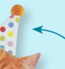 Cat Paper Disposable Lunch Napkins, Orange, 6.5-in,16-pk, 2-ply, for Birthday Party