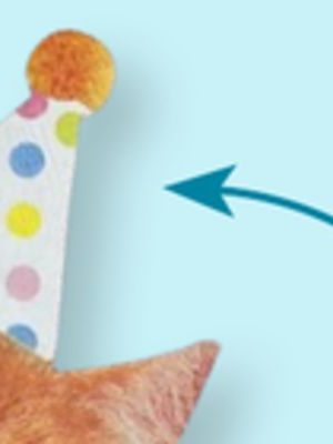 Cat Paper Disposable Lunch Napkins, Orange, 6.5-in,16-pk, 2-ply, for Birthday Party