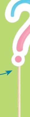 "?" Paper Party Picks, Pink/Blue,4-in, 24-pk, for Gender Reveal