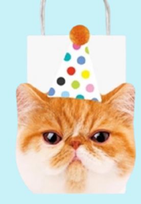 Cat Party Rectangle Paper Party Treat Bags, White/Orange, 7.5-in, 4-pk, for Birthday Party
