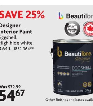 Designer Interior Paint